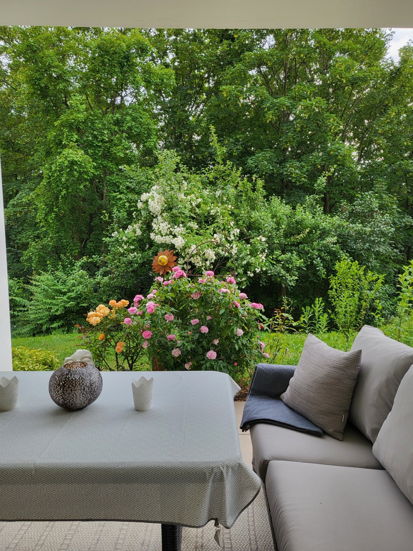 Überdachte Terrasse mit Blick in den Wald